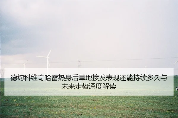 de-yue-ke-wei-qi-ha-lei-re-shen-hou-cao-di-jie-fa-biao-xian-hai-neng-chi-xu-duo-jiu-yu-wei-lai-zou-shi-shen-du-jie-du-1-790.jpg