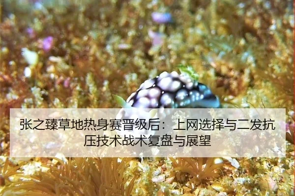 zhang-zhi-zhen-cao-di-re-shen-sai-jin-ji-hou-shang-wang-xuan-ze-yu-er-fa-kang-ya-ji-shu-zhan-shu-fu-pan-yu-zhan-wang-1-369.jpg
